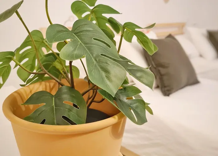 Casa Bella * 로카르노