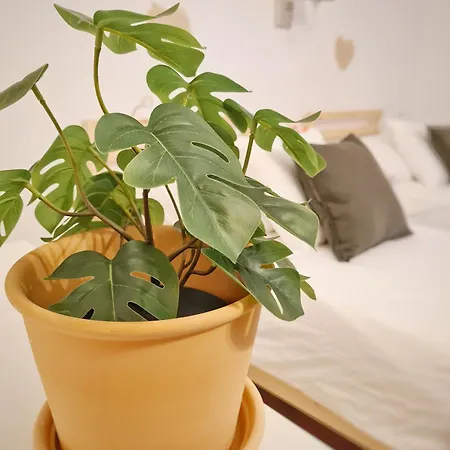 Casa Bella * Locarno